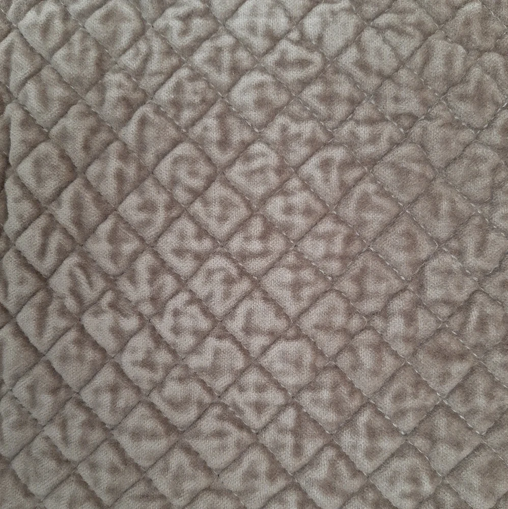**Williams Sonoma Diamond Velvet Euro Shams